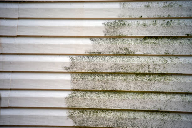 Best Insulated Siding Installation  in West Mountain, UT