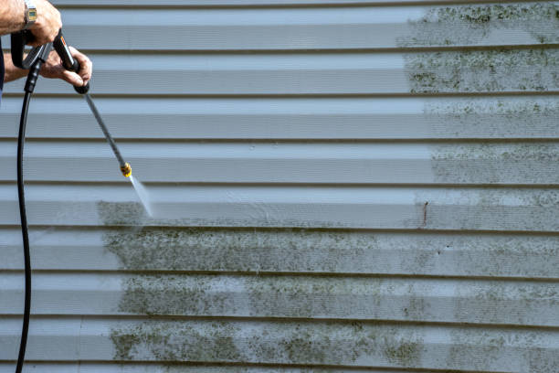 Best Fiber Cement Siding Installation  in West Mountain, UT