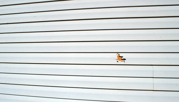 Best Siding for New Construction  in West Mountain, UT